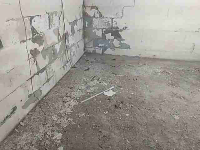 Testing again(8).jpg